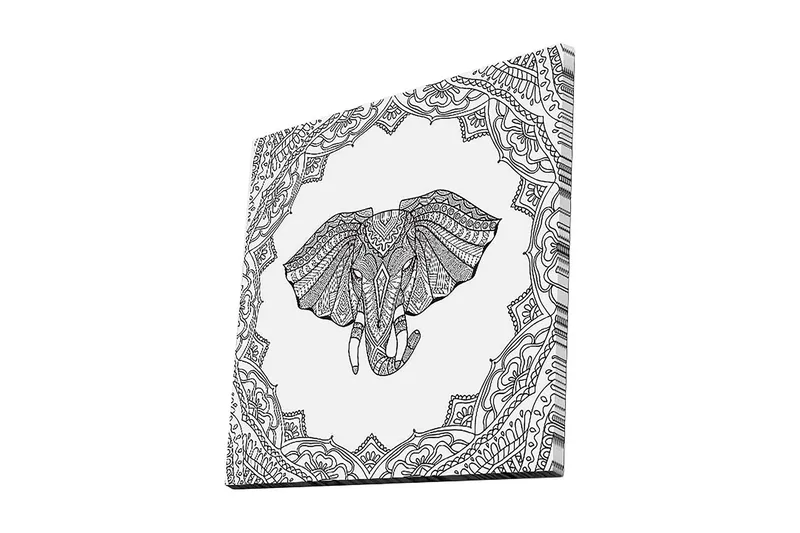 Canvas-taulu 45x45 cm - Norsu monimutkaisilla kuvioilla koristekehyksissä, Musta / Valkoinen