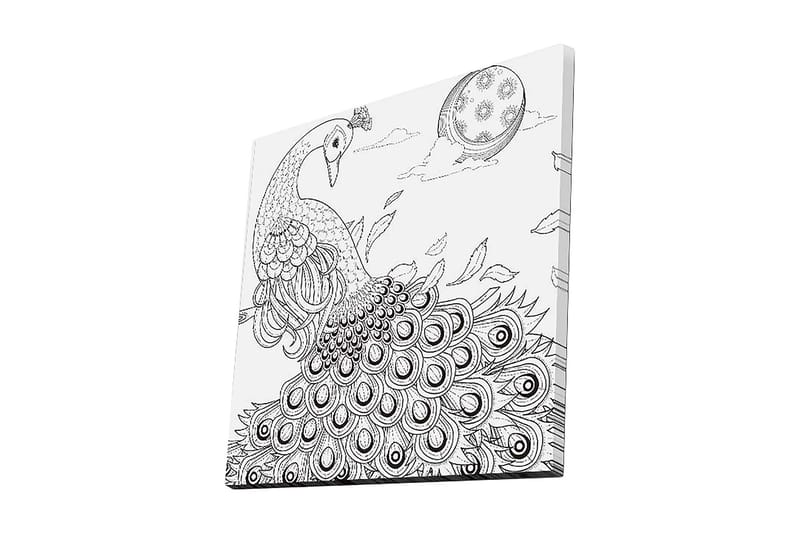 Canvas-taulu 45x45 cm - Riikinkukko ja sen höyhenet yksityiskohtaisessa sommitelmassa, Musta / Valkoinen