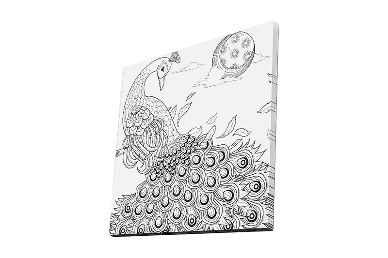 Canvas-taulu 45x45 cm - Riikinkukko ja sen höyhenet yksityiskohtaisessa sommitelmassa, Musta / Valkoinen