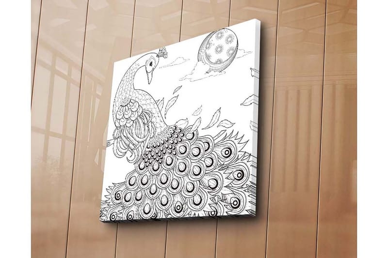 Canvas-taulu 45x45 cm - Riikinkukko ja sen höyhenet yksityiskohtaisessa sommitelmassa - Musta / Valkoinen - Sisustustuotteet - Taulu & taide - Canvas-taulu