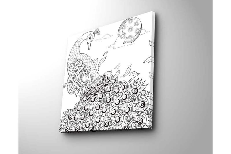 Canvas-taulu 45x45 cm - Riikinkukko ja sen höyhenet yksityiskohtaisessa sommitelmassa - Musta / Valkoinen - Sisustustuotteet - Taulu & taide - Canvas-taulu