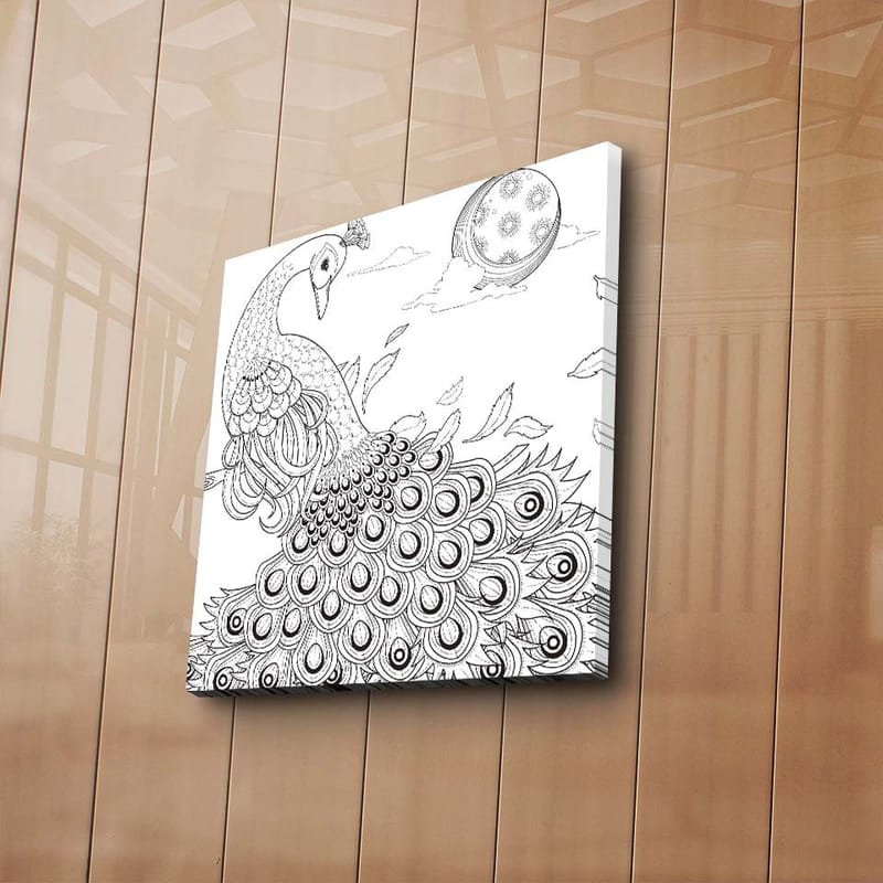 Canvas-taulu 45x45 cm - Riikinkukko yksityiskohtaisella höyhenpeitteellä - Musta / Valkoinen - Sisustustuotteet - Taulu & taide - Canvas-taulu