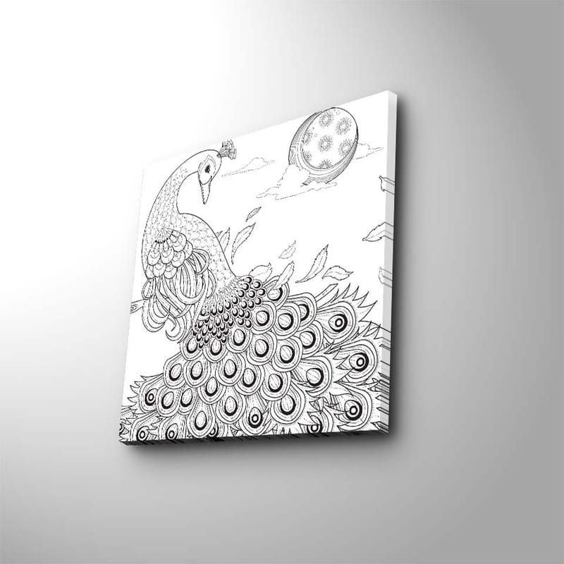 Canvas-taulu 45x45 cm - Riikinkukko yksityiskohtaisella höyhenpeitteellä - Musta / Valkoinen - Sisustustuotteet - Taulu & taide - Canvas-taulu