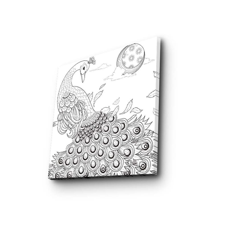 Canvas-taulu 45x45 cm - Riikinkukko yksityiskohtaisella höyhenpeitteellä, Musta / Valkoinen