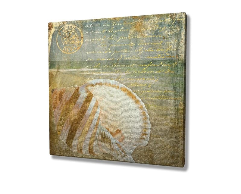 Canvas-taulu 45x45 cm - Simpukankuori hienovaraisilla yksityiskohdilla ja tekstuureilla - Beige / Sininen / Vihreä - Sisustustuotteet - Taulu & taide - Canvas-taulu
