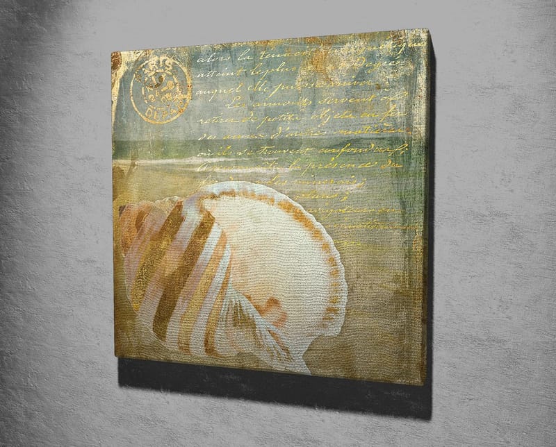 Canvas-taulu 45x45 cm - Simpukankuori hienovaraisilla yksityiskohdilla ja tekstuureilla - Beige / Sininen / Vihreä - Sisustustuotteet - Taulu & taide - Canvas-taulu