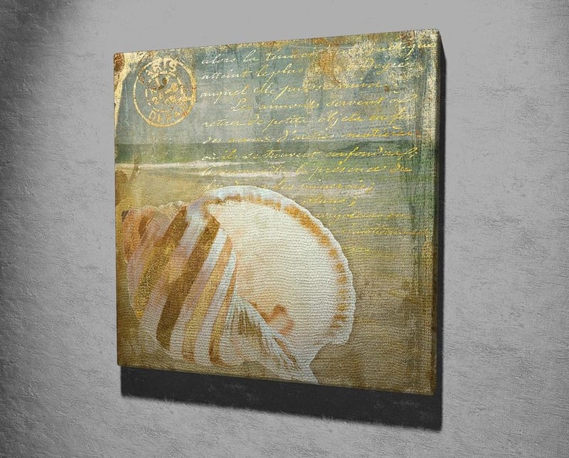 Canvas-taulu 45x45 cm - Simpukankuori hienovaraisilla yksityiskohdilla ja tekstuureilla - Beige / Sininen / Vihreä - Sisustustuotteet - Taulu & taide - Canvas-taulu