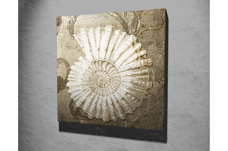 Canvas-taulu 45x45 cm - Simpukankuori yksityiskohtaisella rakenteella pehmeällä taustalla - Valkoinen / Beige / Harmaa - Sisustustuotteet - Taulu & taide - Canvas-taulu