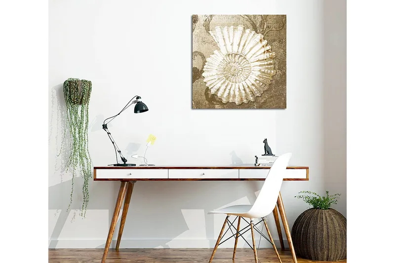 Canvas-taulu 45x45 cm - Simpukankuori yksityiskohtaisella rakenteella pehmeällä taustalla - Valkoinen / Beige / Harmaa - Sisustustuotteet - Taulu & taide - Canvas-taulu