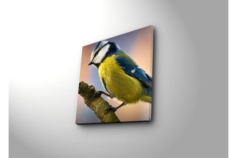 Canvas-taulu 45x45 cm - Sinitiainen oksalla - Sininen / Keltainen / Valkoinen - Sisustustuotteet - Taulu & taide - Canvas-taulu