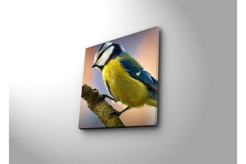 Canvas-taulu 45x45 cm - Sinitiainen oksalla - Sininen / Keltainen / Valkoinen - Sisustustuotteet - Taulu & taide - Canvas-taulu