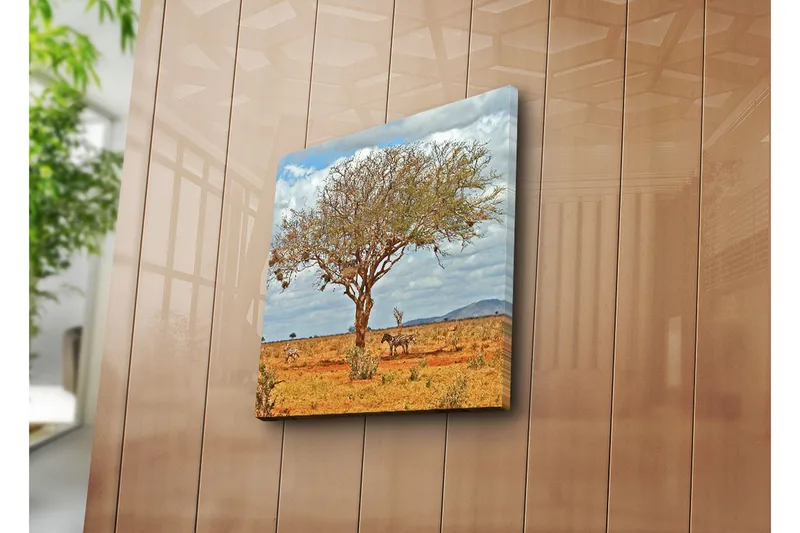 Canvas-taulu 45x45 cm - Suuri puu seeproineen savannilla - Ruskea / Vihreä / Beige - Sisustustuotteet - Taulu & taide - Canvas-taulu