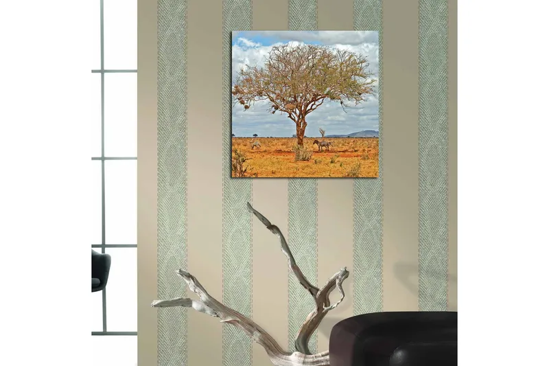 Canvas-taulu 45x45 cm - Suuri puu seeproineen savannilla - Ruskea / Vihreä / Beige - Sisustustuotteet - Taulu & taide - Canvas-taulu