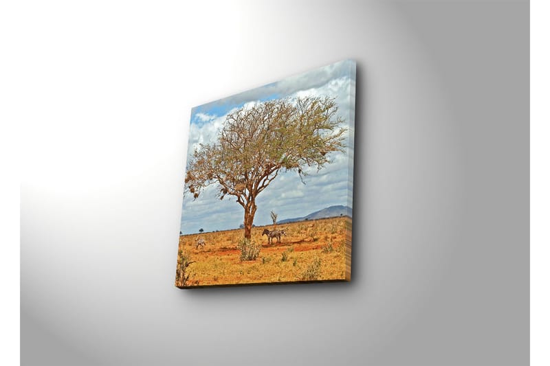 Canvas-taulu 45x45 cm - Suuri puu seeproineen savannilla - Ruskea / Vihreä / Beige - Sisustustuotteet - Taulu & taide - Canvas-taulu