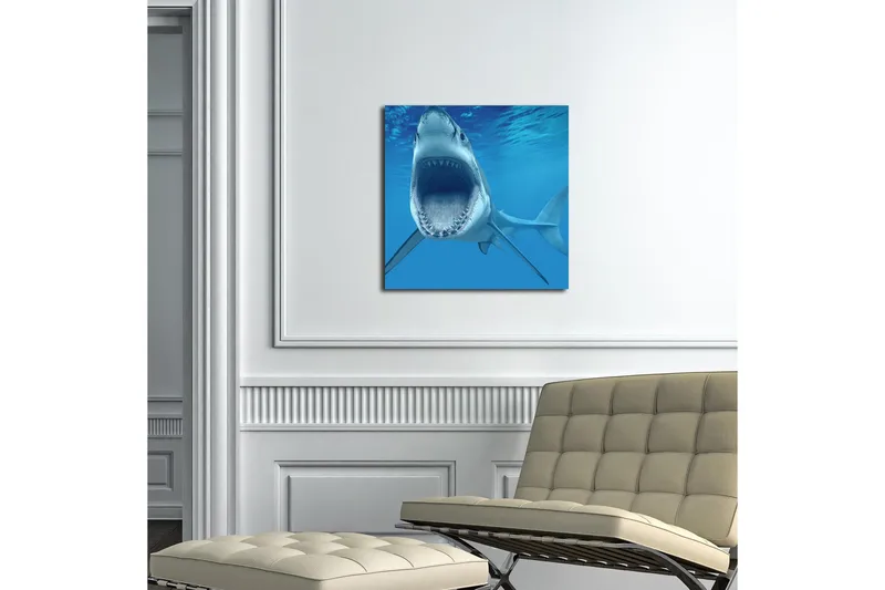 Canvas-taulu 45x45 cm - Suurikokoinen hai suu auki veden alla - Sininen / Harmaa / Valkoinen - Sisustustuotteet - Taulu & taide - Canvas-taulu