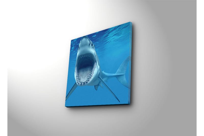 Canvas-taulu 45x45 cm - Suurikokoinen hai suu auki veden alla - Sininen / Harmaa / Valkoinen - Sisustustuotteet - Taulu & taide - Canvas-taulu