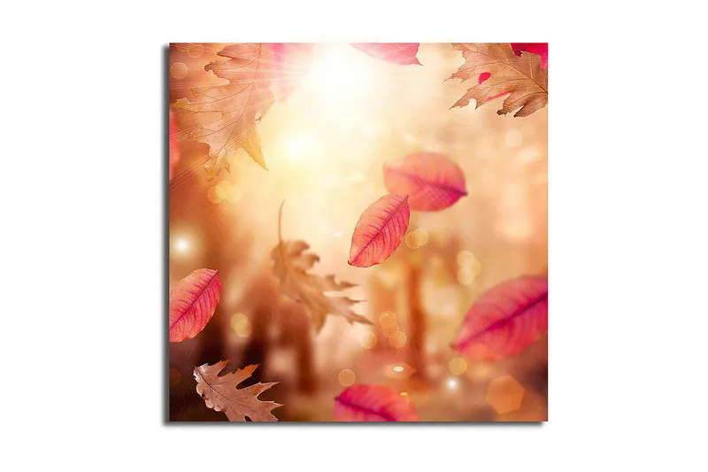 Canvas-taulu 45x45 cm - Syksyn lehdet kelluvat kultaisessa valossa, Punainen / Oranssi / Beige