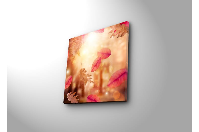 Canvas-taulu 45x45 cm - Syksyn lehdet kelluvat kultaisessa valossa - Punainen / Oranssi / Beige - Sisustustuotteet - Taulu & taide - Canvas-taulu
