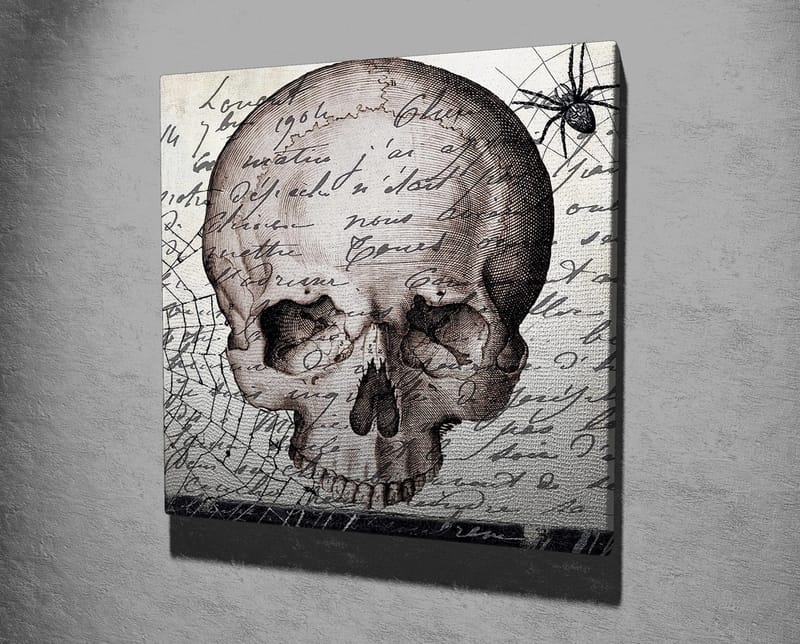 Canvas-taulu 45x45 cm - Tumma pääkallo käsinkirjoitetulla tekstillä ja hämähäkkiaiheella - Harmaa / Musta / Beige - Sisustustuotteet - Taulu & taide - Canvas-taulu