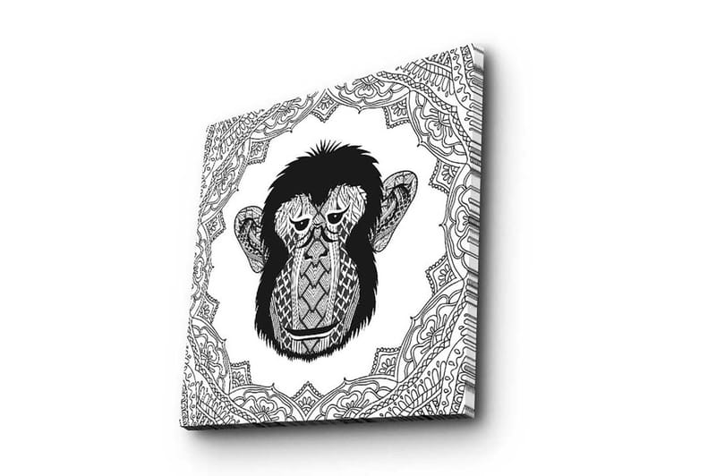 Canvas-taulu 45x45 cm - Tyylitelty apina yksityiskohtaisella kuviolla, Musta / Valkoinen