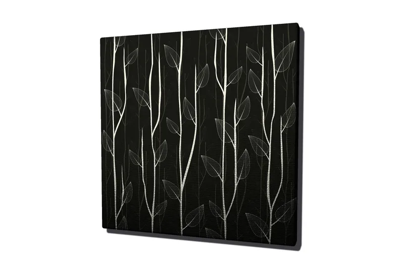Canvas-taulu 45x45 cm - Tyyliteltyjä kasveja tummaa taustaa vasten, Valkoinen / Musta