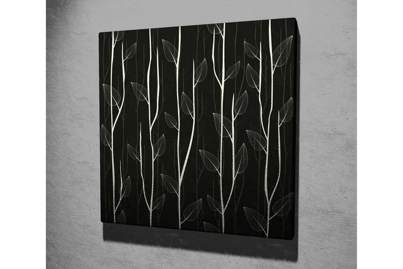 Canvas-taulu 45x45 cm - Tyyliteltyjä kasveja tummaa taustaa vasten - Valkoinen / Musta - Sisustustuotteet - Taulu & taide - Canvas-taulu