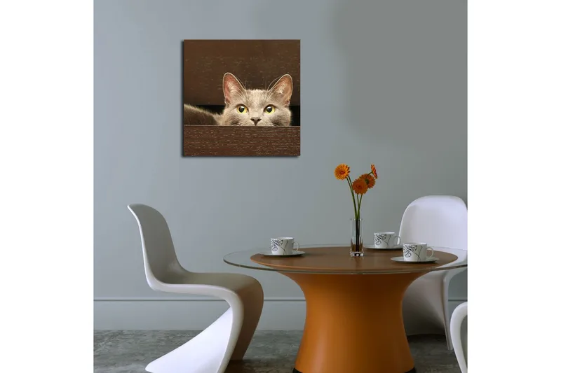 Canvas-taulu 45x45 cm - Utelias kissa kurkistaa laatikon takaa - Harmaa / Keltavihreä - Sisustustuotteet - Taulu & taide - Canvas-taulu