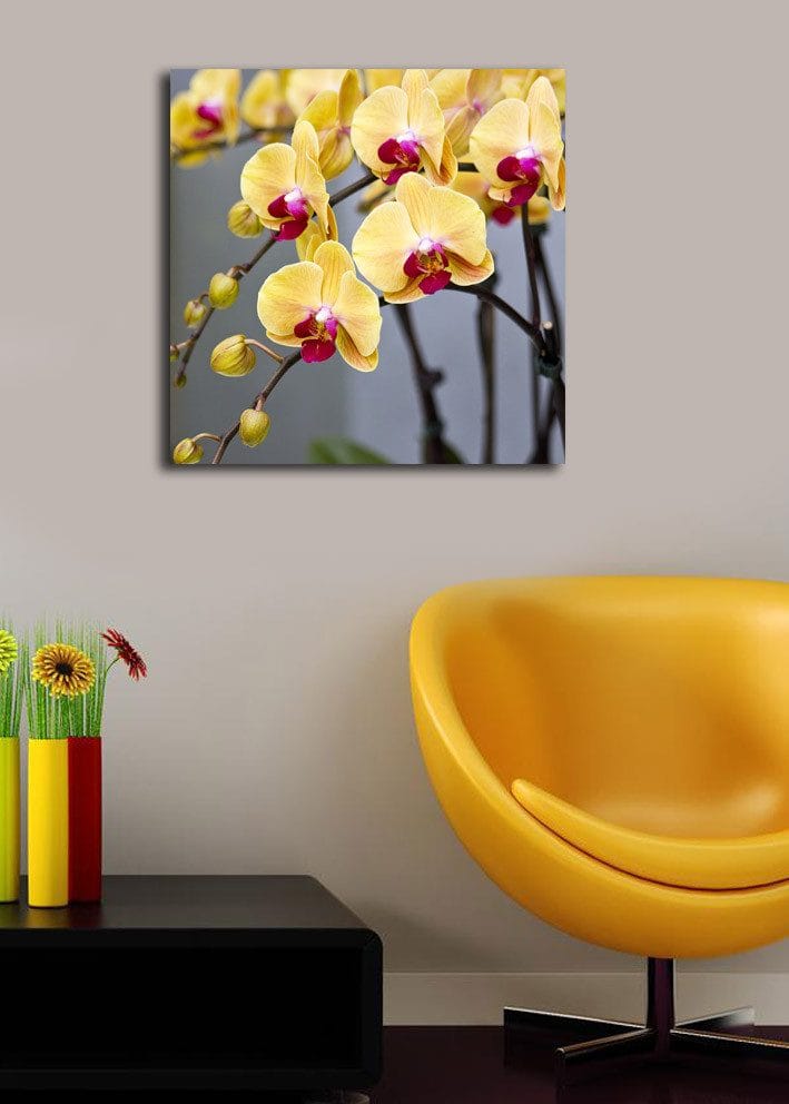 Canvas-taulu 45x45 cm - Värikäs orkidea keltaisilla ja vaaleanpunaisilla kukilla - Keltainen / Vaaleanpunainen - Sisustustuotteet - Taulu & taide - Canvas-taulu