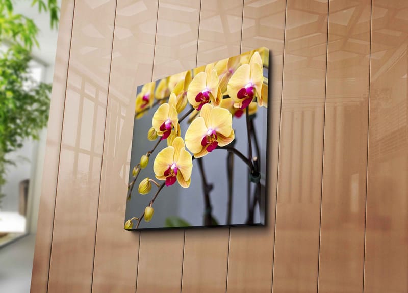 Canvas-taulu 45x45 cm - Värikäs orkidea keltaisilla ja vaaleanpunaisilla kukilla - Keltainen / Vaaleanpunainen - Sisustustuotteet - Taulu & taide - Canvas-taulu
