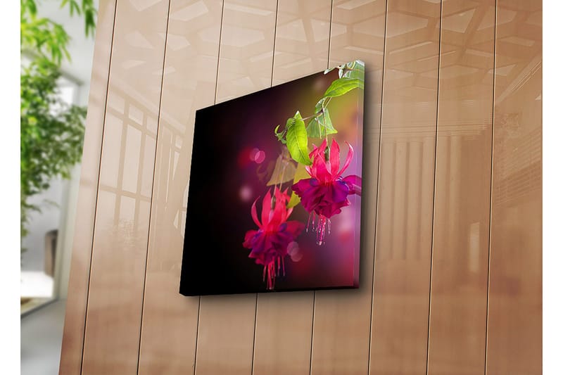 Canvas-taulu 45x45 cm - Värikäs riippuva fuksia vihreillä lehdillä - Vaaleanpunainen / Violetti / Vihreä - Sisustustuotteet - Taulu & taide - Canvas-taulu