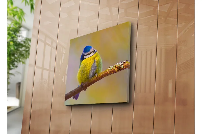 Canvas-taulu 45x45 cm - Värikäs sinitiainen oksalla - Sininen / Keltainen / Harmaa - Sisustustuotteet - Taulu & taide - Canvas-taulu