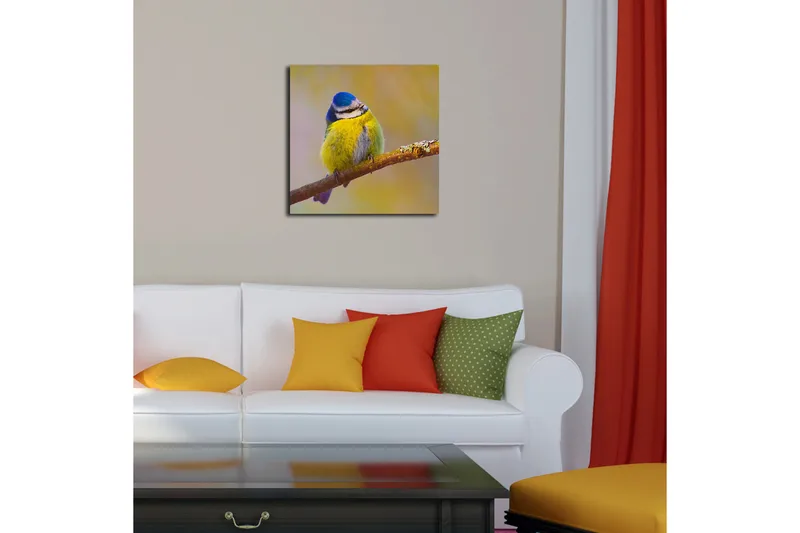 Canvas-taulu 45x45 cm - Värikäs sinitiainen oksalla - Sininen / Keltainen / Harmaa - Sisustustuotteet - Taulu & taide - Canvas-taulu