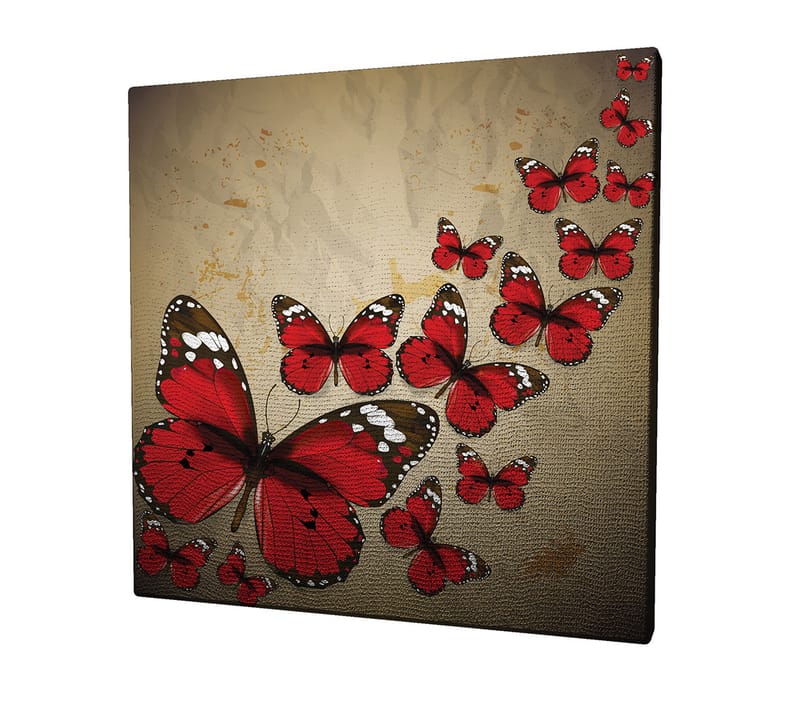 Canvas-taulu 45x45 cm - Värikäs perhoskokoelma punaisena - Punainen / Musta / Beige - Sisustustuotteet - Taulu & taide - Canvas-taulu