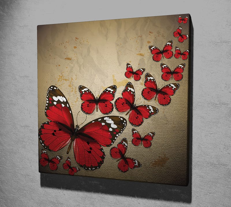 Canvas-taulu 45x45 cm - Värikäs perhoskokoelma punaisena - Punainen / Musta / Beige - Sisustustuotteet - Taulu & taide - Canvas-taulu