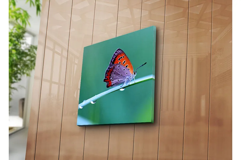 Canvas-taulu 45x45 cm - Värikäs perhonen vihreällä lehdellä - Oranssi / Violetti / Harmaa - Sisustustuotteet - Taulu & taide - Canvas-taulu