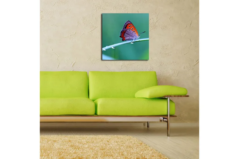Canvas-taulu 45x45 cm - Värikäs perhonen vihreällä lehdellä - Oranssi / Violetti / Harmaa - Sisustustuotteet - Taulu & taide - Canvas-taulu