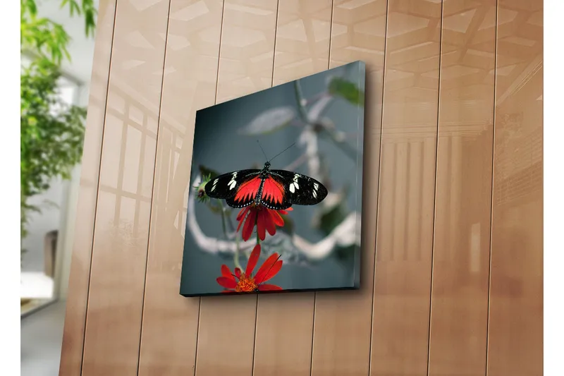 Canvas-taulu 45x45 cm - Värikäs perhonen kukassa - Punainen / Musta - Sisustustuotteet - Taulu & taide - Canvas-taulu