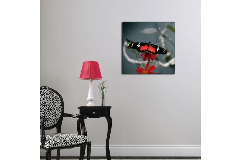 Canvas-taulu 45x45 cm - Värikäs perhonen kukassa - Punainen / Musta - Sisustustuotteet - Taulu & taide - Canvas-taulu