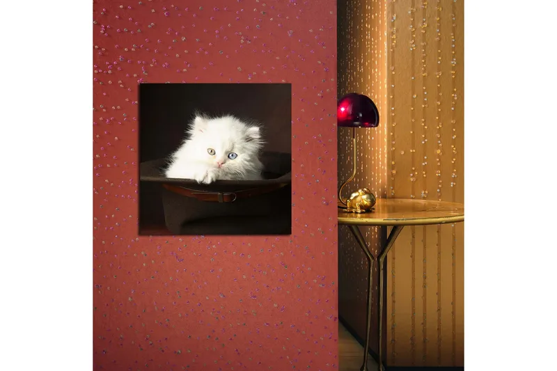 Canvas-taulu 45x45 cm - Valkoinen kissanpentu hatussa - Valkoinen / Ruskea / Sininen - Sisustustuotteet - Taulu & taide - Canvas-taulu