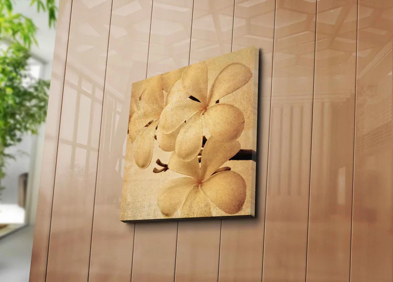 Canvas-taulu 45x45 cm - Valkoinen orkidea pehmeillä terälehdillä - Valkoinen / Beige / Ruskea - Sisustustuotteet - Taulu & taide - Canvas-taulu