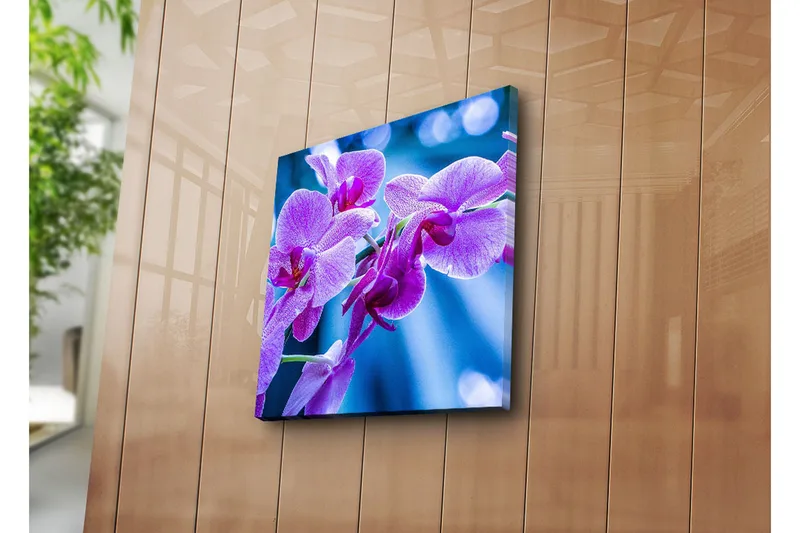 Canvas-taulu 45x45 cm - Violetit orkideat kukassa - Violetti / Sininen - Sisustustuotteet - Taulu & taide - Canvas-taulu