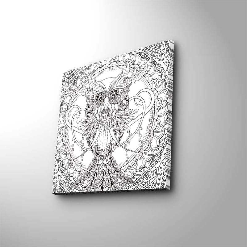 Canvas-taulu 45x45 cm - Yksityiskohtainen ja tyylitelty pöllö koristekuvioiden ympäröimänä, Musta / Valkoinen