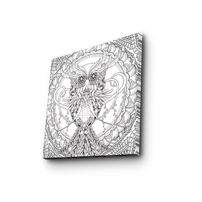 Canvas-taulu 45x45 cm - Yksityiskohtainen ja tyylitelty pöllö koristekuvioiden ympäröimänä - Musta / Valkoinen - Sisustustuotteet - Taulu & taide - Canvas-taulu