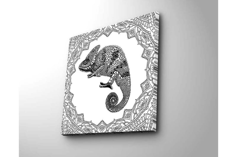 Canvas-taulu 45x45 cm - Yksityiskohtainen kuva kameleontista koristeellisessa kehyksessä - Musta / Valkoinen - Sisustustuotteet - Taulu & taide - Canvas-taulu