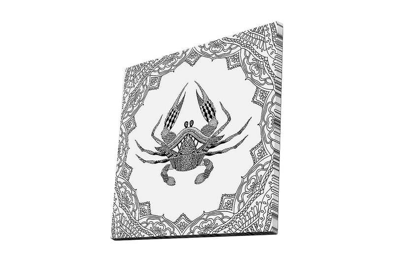 Canvas-taulu 45x45 cm - Yksityiskohtainen kuva ravusta koristekuvioiden ympäröimänä, Musta / Valkoinen