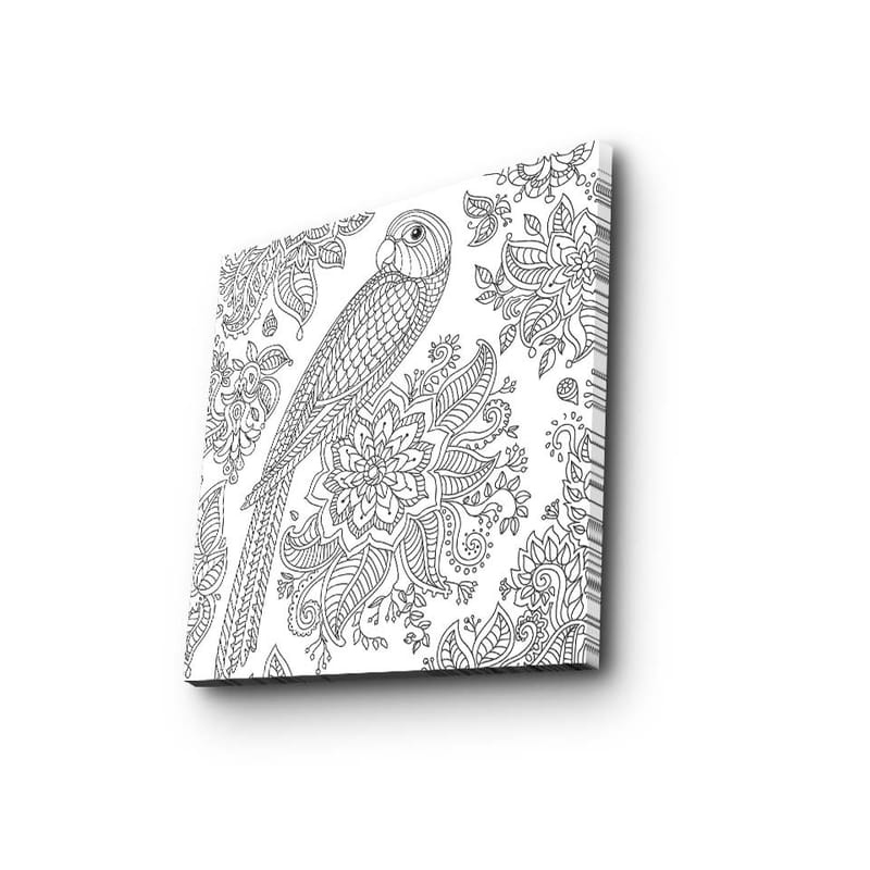 Canvas-taulu 45x45 cm - Yksityiskohtainen kuva papukaijasta kukkien ja kuvioiden ympäröimänä - Musta / Valkoinen - Sisustustuotteet - Taulu & taide - Canvas-taulu