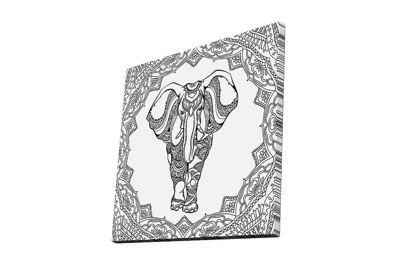 Canvas-taulu 45x45 cm - Yksityiskohtainen mustavalkoinen kuva norsusta koristekuvioiden ympäröimänä, Musta / Valkoinen