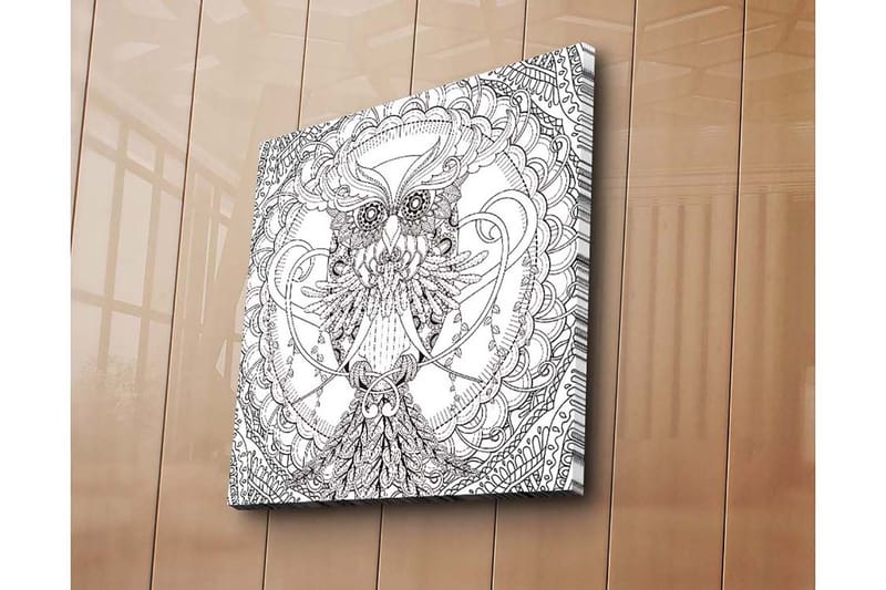 Canvas-taulu 45x45 cm - Yksityiskohtainen mustavalkoinen pöllö monimutkaisilla kuvioilla, Musta / Valkoinen