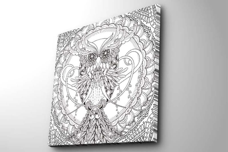 Canvas-taulu 45x45 cm - Yksityiskohtainen mustavalkoinen pöllö monimutkaisilla kuvioilla - Musta / Valkoinen - Sisustustuotteet - Taulu & taide - Canvas-taulu