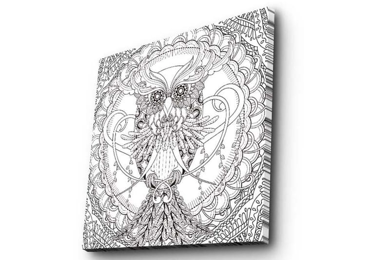 Canvas-taulu 45x45 cm - Yksityiskohtainen mustavalkoinen pöllö monimutkaisilla kuvioilla - Musta / Valkoinen - Sisustustuotteet - Taulu & taide - Canvas-taulu